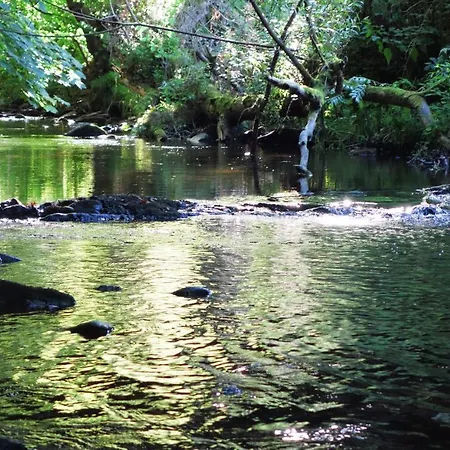 فندق Kallbach 4*