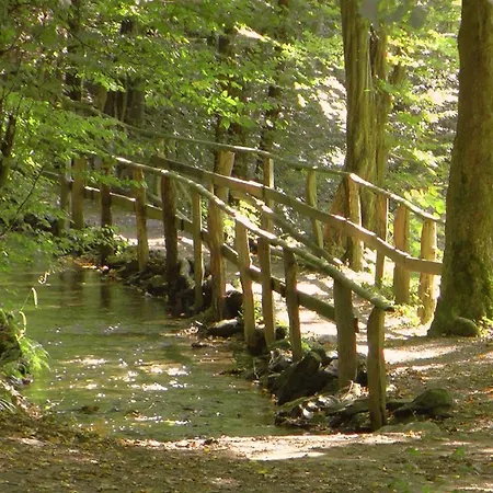 Kallbach فندق Hürtgenwald
