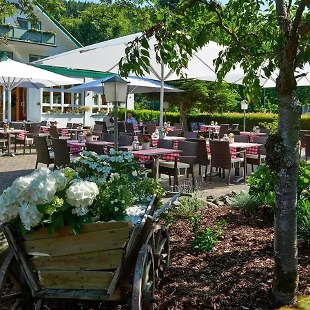Kallbach 4* Hürtgenwald