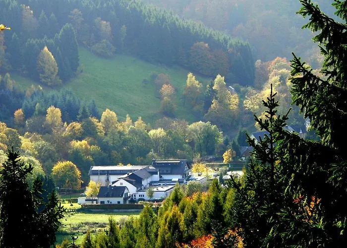 Kallbach Hürtgenwald