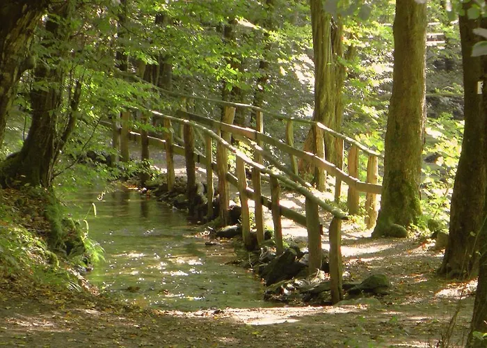 Kallbach Hotel Hürtgenwald